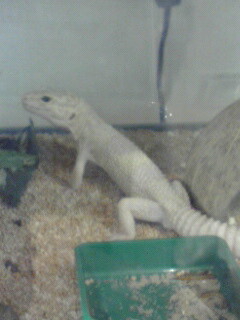 081025_2138~04001.jpg