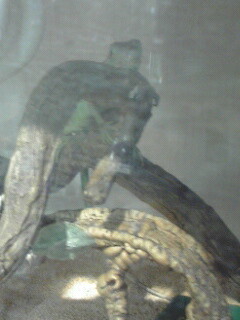 081025_2138~03001.jpg