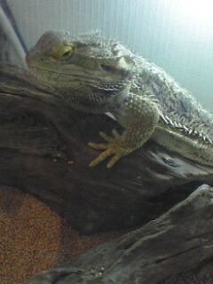 080920_2152~01001.jpg