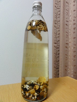 十全大補湯酒