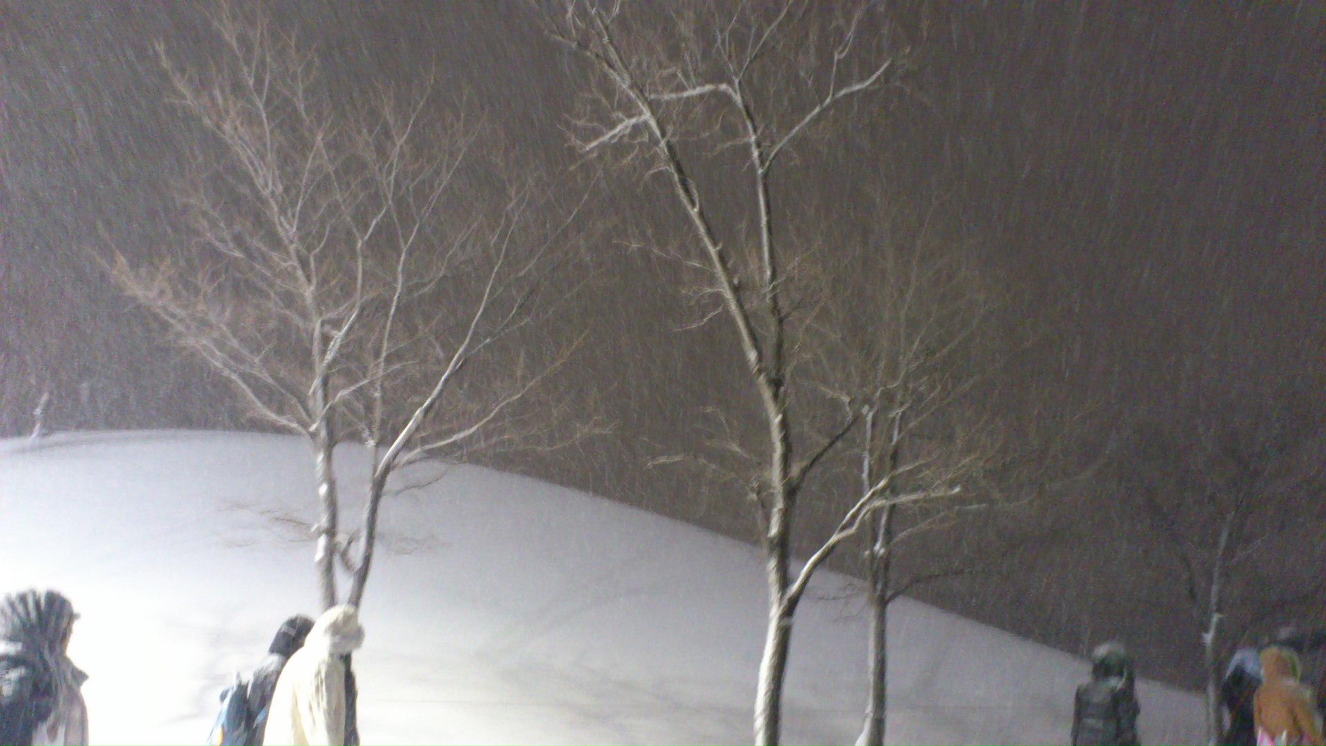 DSC_0558.JPG