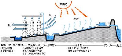 ドキュメント鑑賞 自然信仰を取り戻せ