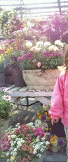 20130306124534.jpg