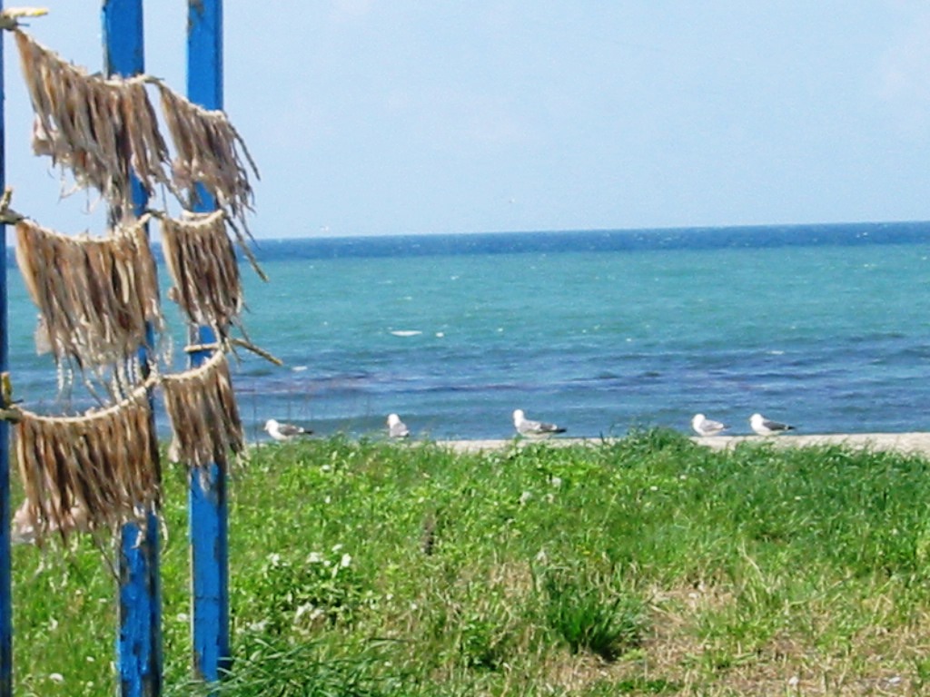 104-0463_IMG.JPG