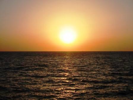 105-0503_IMG.JPG