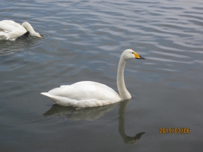 IMG_0078.JPG