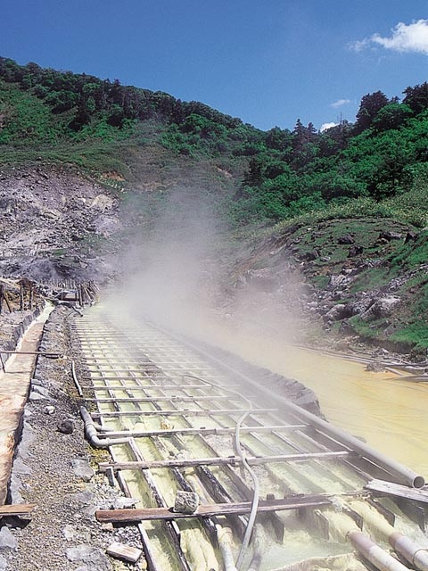 5000296_1968_1.jpg