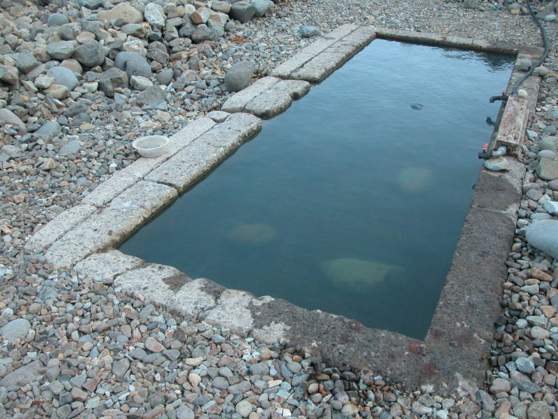 o0800060012248157630.jpg