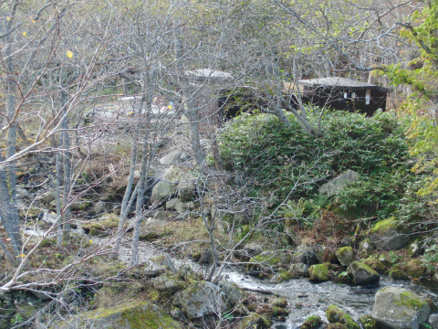 CIMG8134.jpg