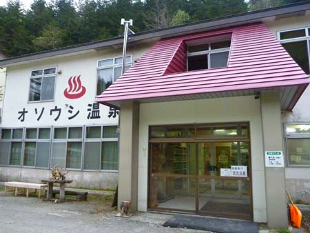 oso9.jpg