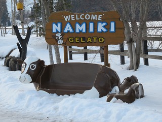IMG_0709.jpg