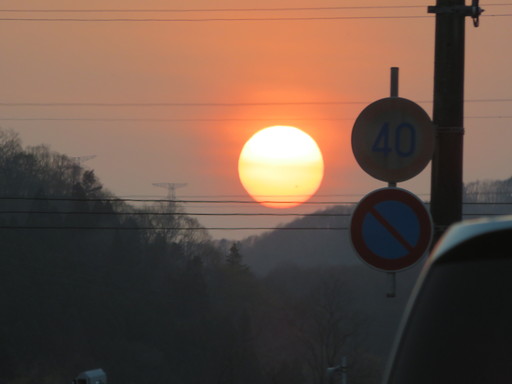 IMG_0984.jpg