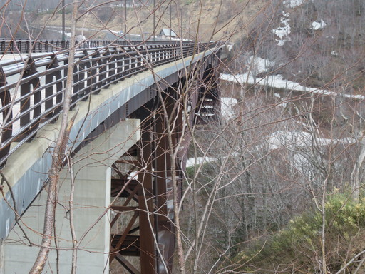 IMG_1009.jpg