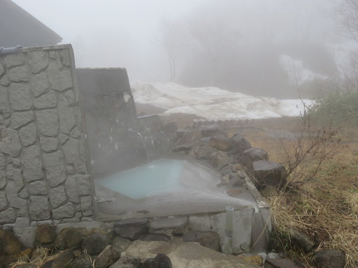 IMG_1117.jpg