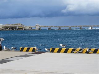 IMG_1193_R.JPG