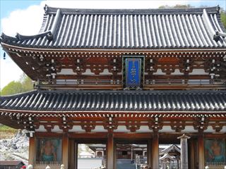IMG_1218_R.JPG