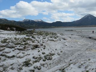 IMG_1243_R.JPG