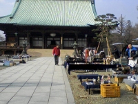 護国寺骨董市境内