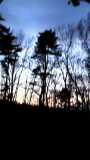 200912021635000.jpg