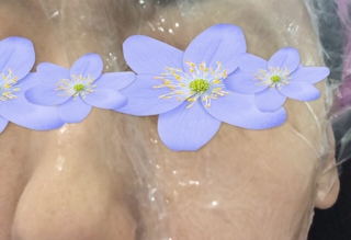 iPhoneImage.png
