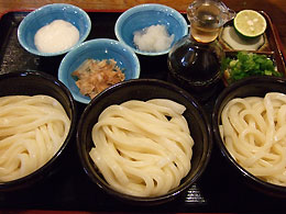 銭形の三つ盛り生醤油うどん
