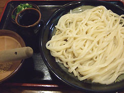 銭形の細切りざるうどん