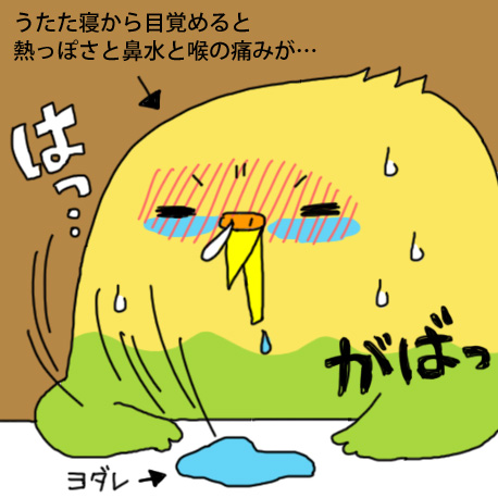 今日のインコ2.jpg
