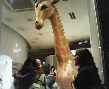 200609292335000.jpg