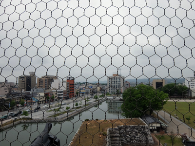 DSCF6273.JPG