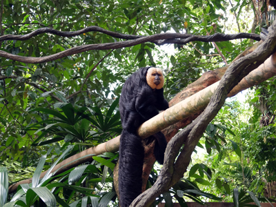 DSCF6397.JPG