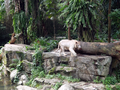 DSCF6398.JPG