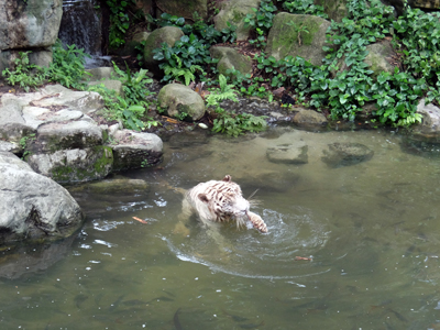 DSCF6400.JPG