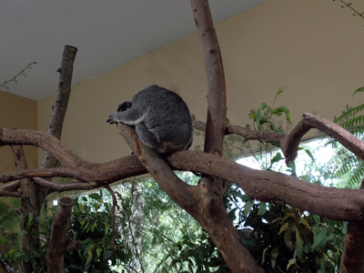 DSCF6402.JPG