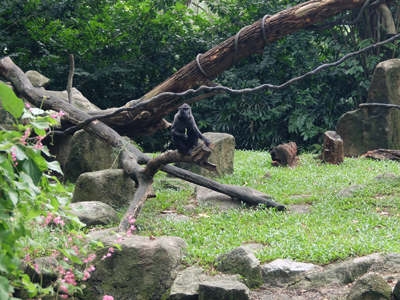 DSCF6409.JPG