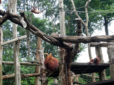DSCF6419.JPG