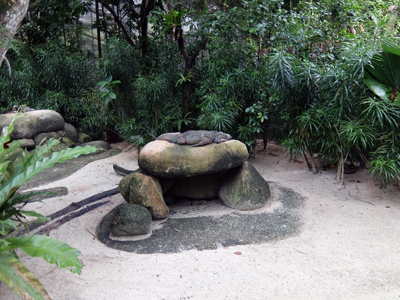 DSCF6423.JPG