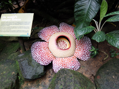 DSCF6433.JPG