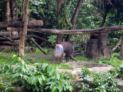 DSCF6437.JPG