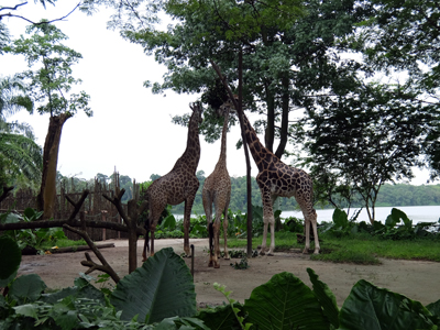 DSCF6440.JPG