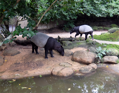 DSCF6447.JPG