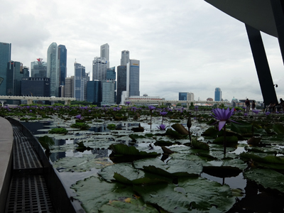 DSCF6473.JPG