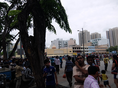 DSCF6484.JPG