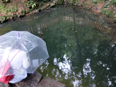 DSCF6583.JPG