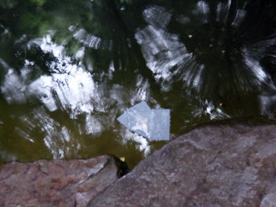 DSCF6586.JPG