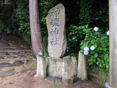 DSCF6587.JPG