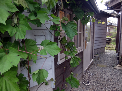 DSCF6643.JPG