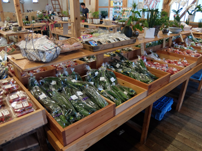 DSCF6645.JPG
