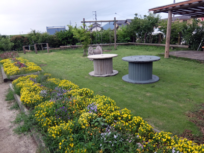 DSCF6646.JPG