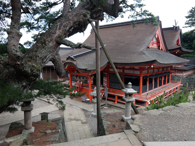 DSCF6664.JPG