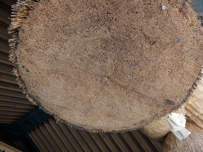 DSCF6678.JPG